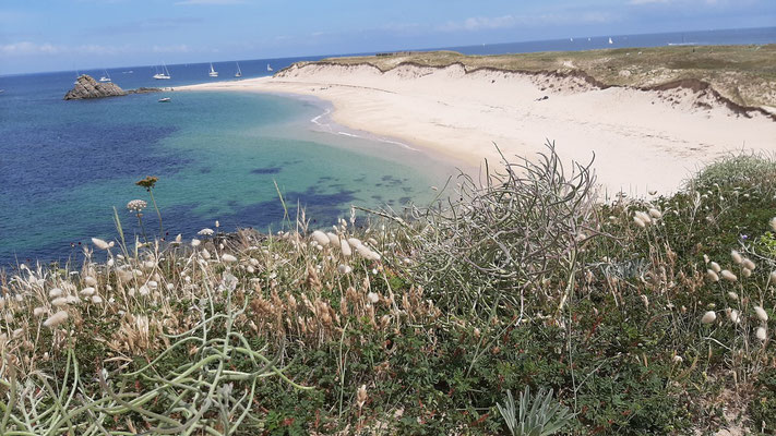 Rando Bivouac île de BATZ 5/6 septembre 2020